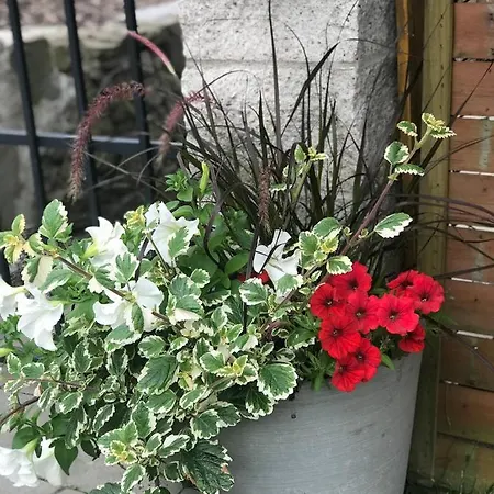 Aleksandra - Miedzybrodzie Zywieckie