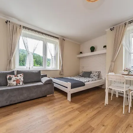 Apartament Aleksandra - Miedzybrodzie Zywieckie