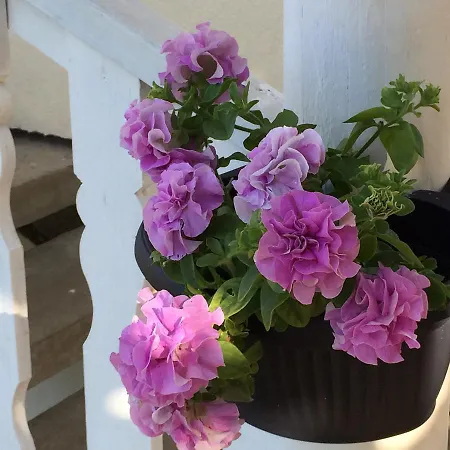 Aleksandra - Apartament