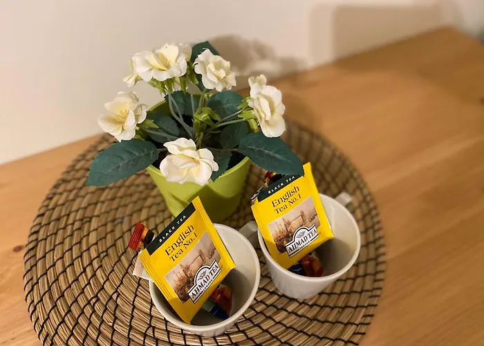 Aleksandra - מידז'יברודז'י ז'יוויקי