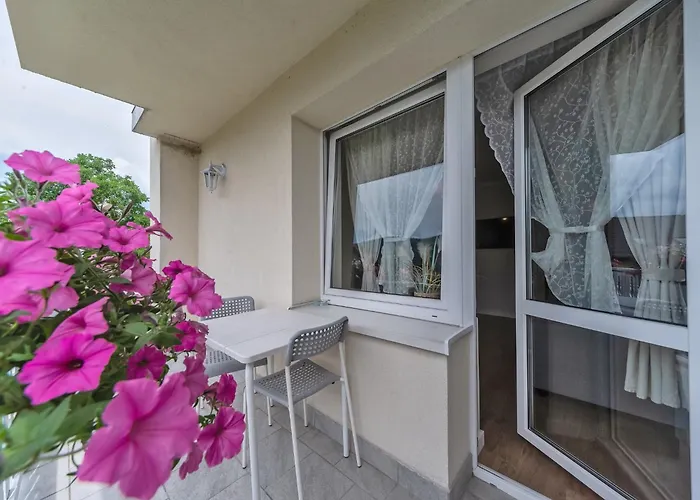 דירה Aleksandra - *