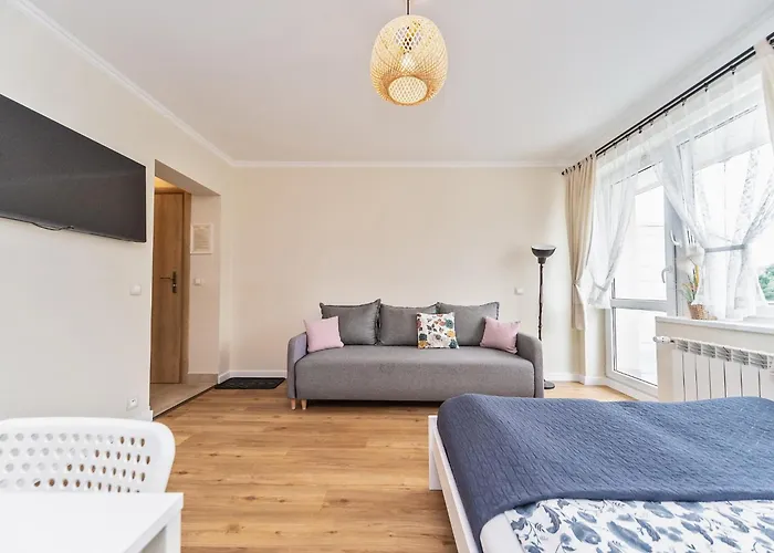 דירה Aleksandra - *