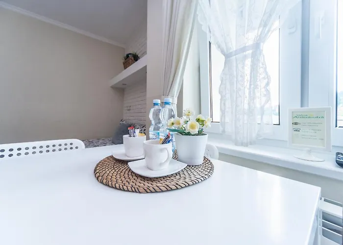 דירה Aleksandra - מידז'יברודז'י ז'יוויקי