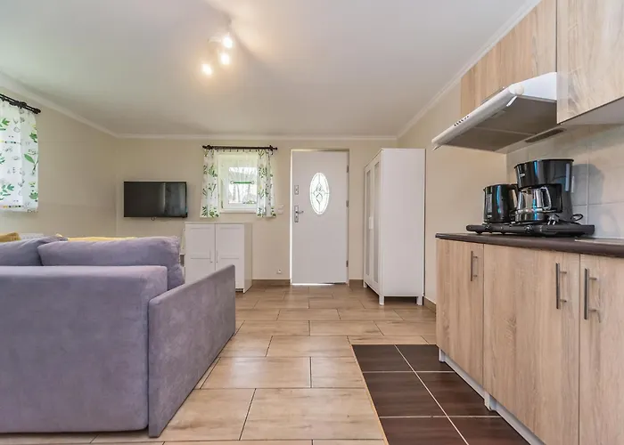 Aleksandra - מידז'יברודז'י ז'יוויקי