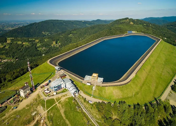 Aleksandra - * מידז'יברודז'י ז'יוויקי