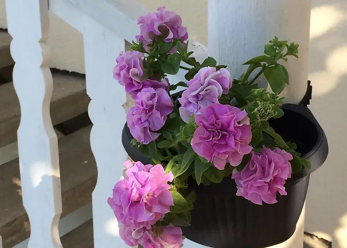 Aleksandra - Apartment