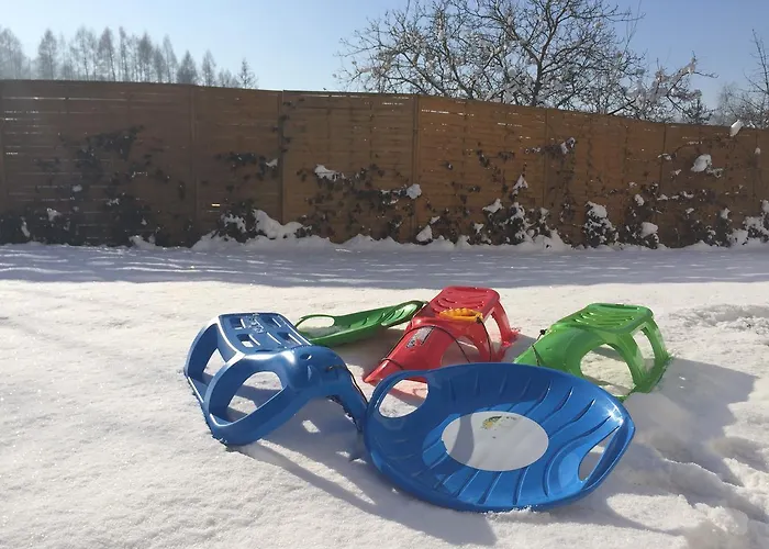 Aleksandra - * מידז'יברודז'י ז'יוויקי