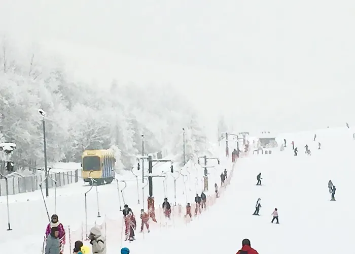 Aleksandra - מידז'יברודז'י ז'יוויקי